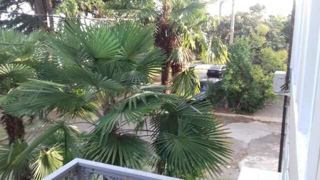 Апартаменты Dioskuriya Guest House Сухум-60